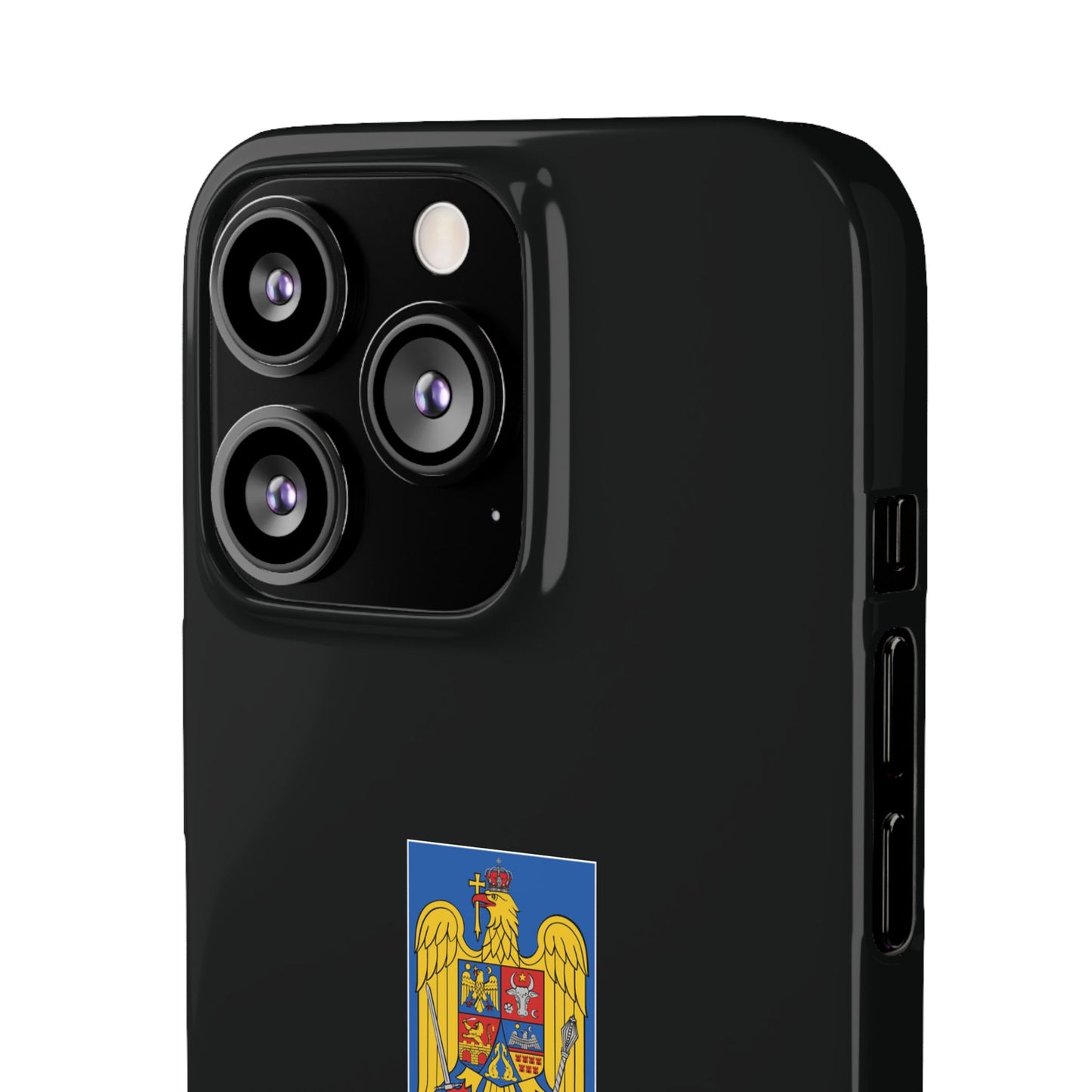 Husă cu stema României (color) și tricolor