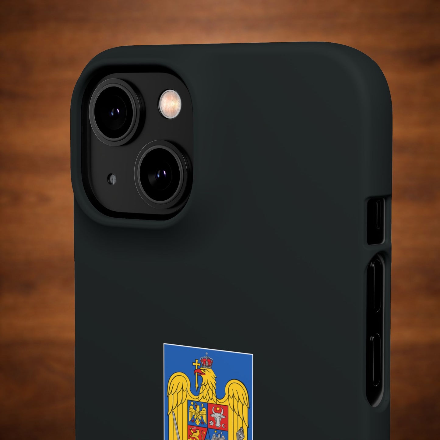 Husă cu stema României (color) și tricolor