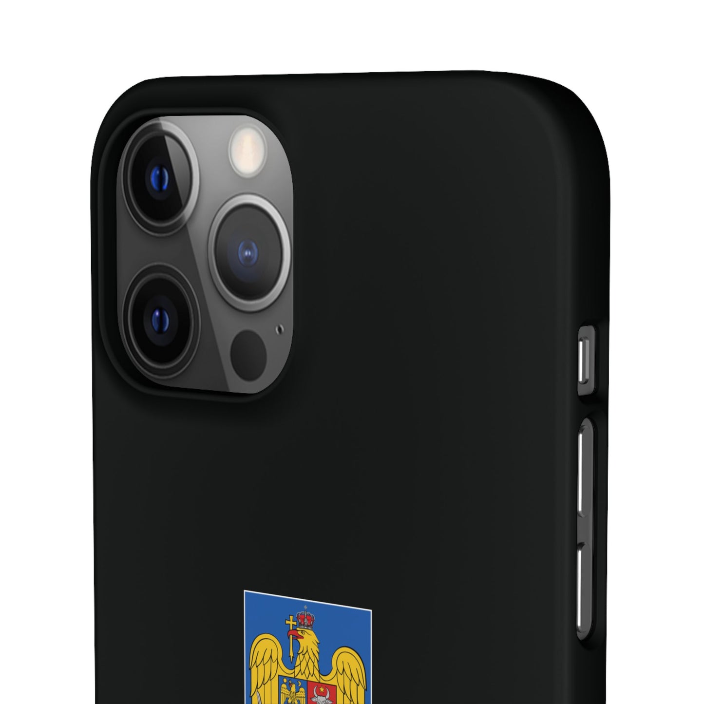 Husă cu stema României (color) și tricolor