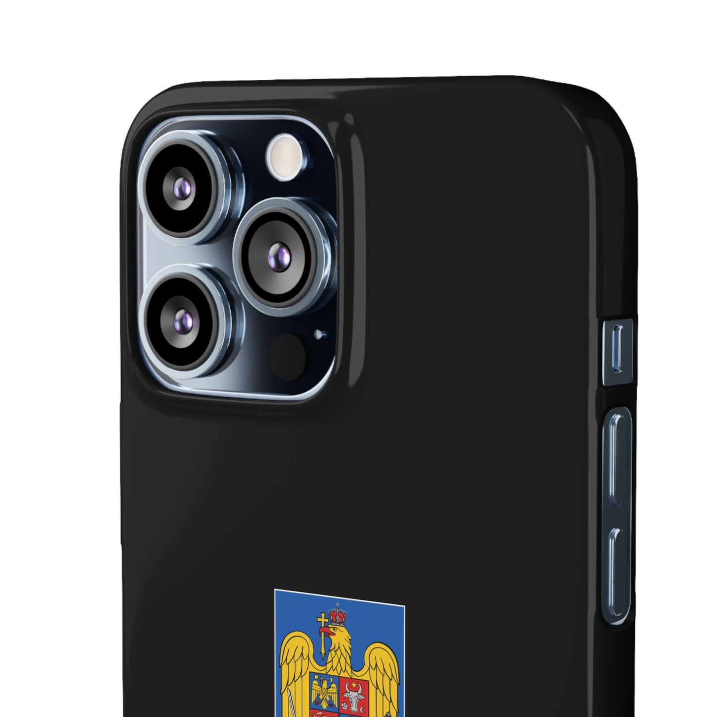 Husă cu stema României (color) și tricolor