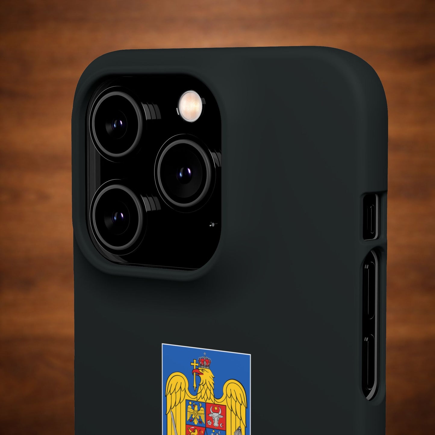 Husă cu stema României (color) și tricolor